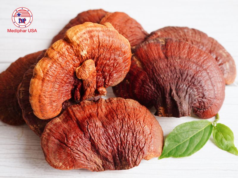 Nấm linh chi hỗ trợ kiểm soát cân nặng gián tiếp