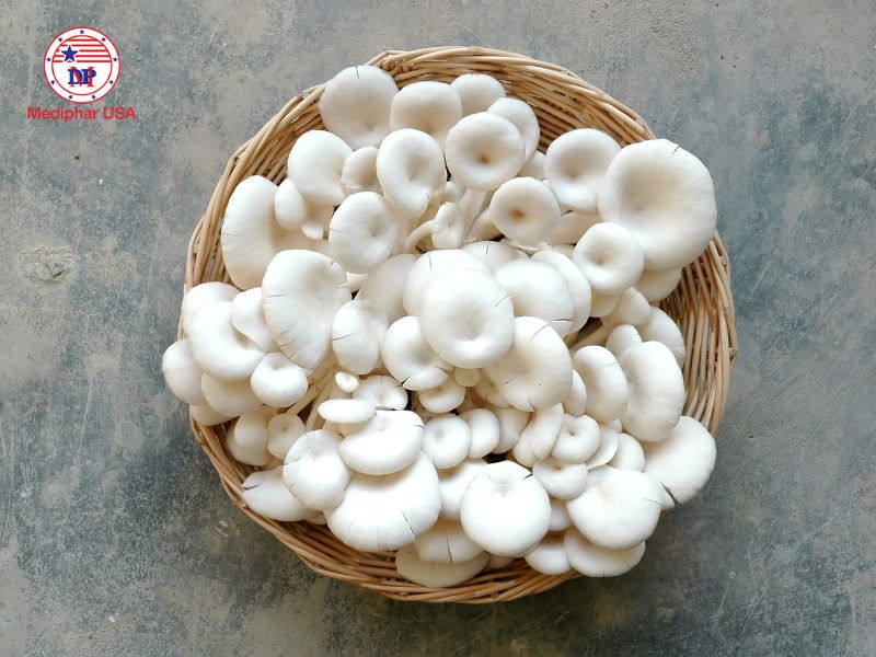 Nấm bào ngư có khả năng cải thiện chuyển hóa lipid