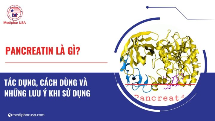 Pancreatin là gì? Tác dụng, cách dùng và những lưu ý khi sử dụng Pancreatin là gì? Tác dụng, cách dùng và những lưu ý khi sử dụng