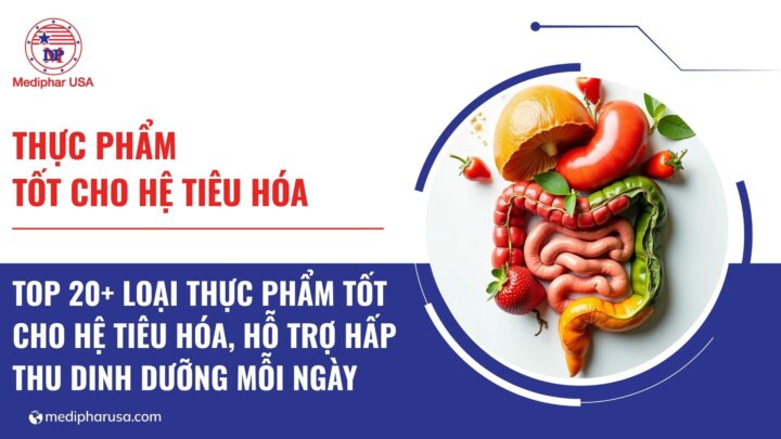 20+ loại thực phẩm tốt cho hệ tiêu hóa, hỗ trợ hấp thu dinh dưỡng