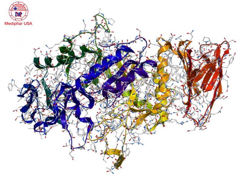 Trypsin enzyme là gì? Nguồn gốc, tác dụng và ứng dụng điều trị Enzyme trypsin được ứng dụng trong nhiều bệnh lý khác nhau