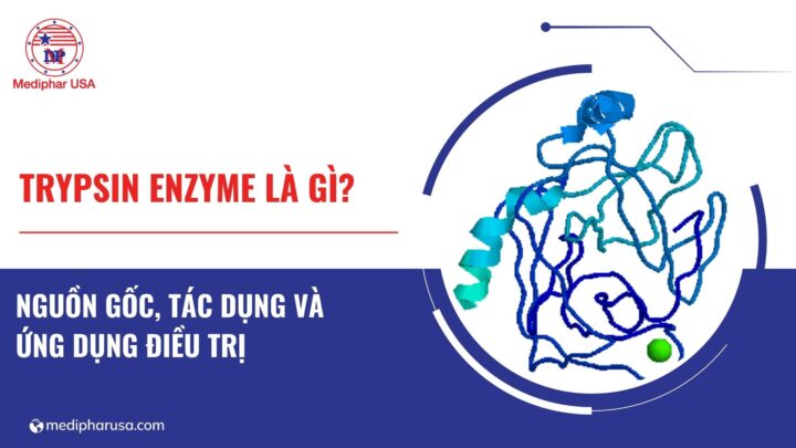 Trypsin enzyme là gì? Nguồn gốc, tác dụng và ứng dụng điều trị