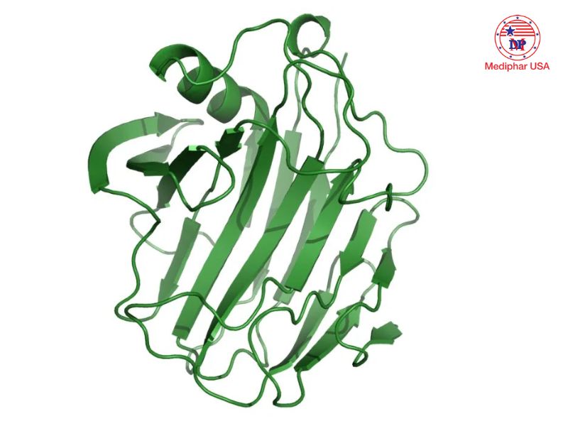 Cellulase enzyme là gì? Cơ chế, tác dụng, ứng dụng trong đời sống Có nhiều yếu tố ảnh hưởng đến hoạt động của enzyme cellulase