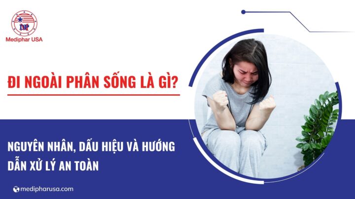 Đi ngoài phân sống là gì? Nguyên nhân, dấu hiệu và hướng dẫn xử lý an toàn