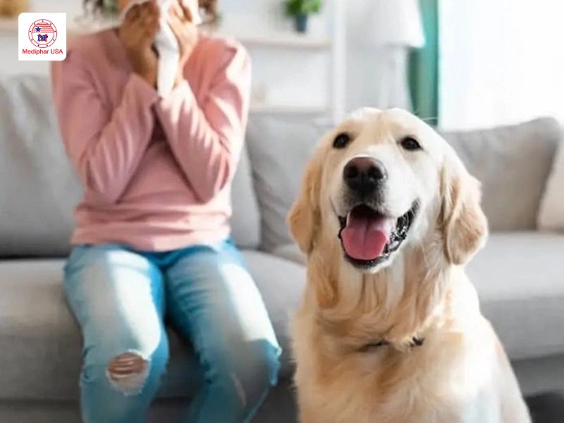 Đường Xylitol là gì? Công dụng, lợi ích là lưu ý khi sử dụng Đường Xylitol ảnh hưởng tiêu cực đến thú cưng.