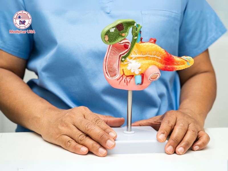 Tuyến tụy là một cơ quan thuộc hệ thống tiêu hóa và hệ nội tiết