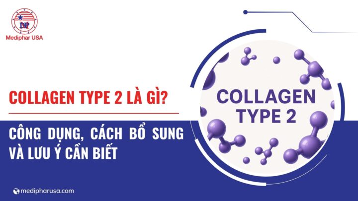 Collagen type 2 là gì? Công dụng, cách bổ sung và lưu ý cần biết Collagen type 2 là gì? Công dụng, cách bổ sung và lưu ý cần biết