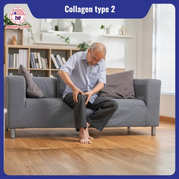 Collagen type 2 là gì? Công dụng, cách bổ sung và lưu ý cần biết Người mắc các bệnh lý khớp nên bổ sung Collagen type 2