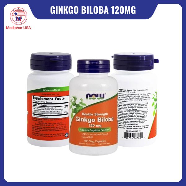 NOW Ginkgo Biloba 120mg