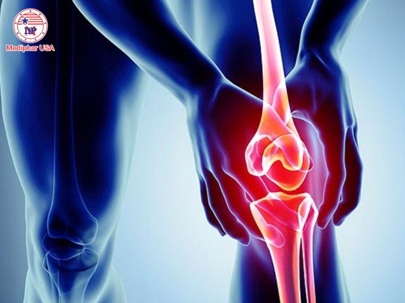 Glucosamin là thành phần cấu tạo nên gân, dây chằng, sụn và dịch khớp.