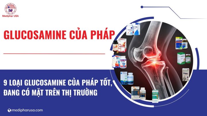 9 loại glucosamine của Pháp tốt đang có mặt trên thị trường 9 loại glucosamine của Pháp tốt đang có mặt trên thị trường