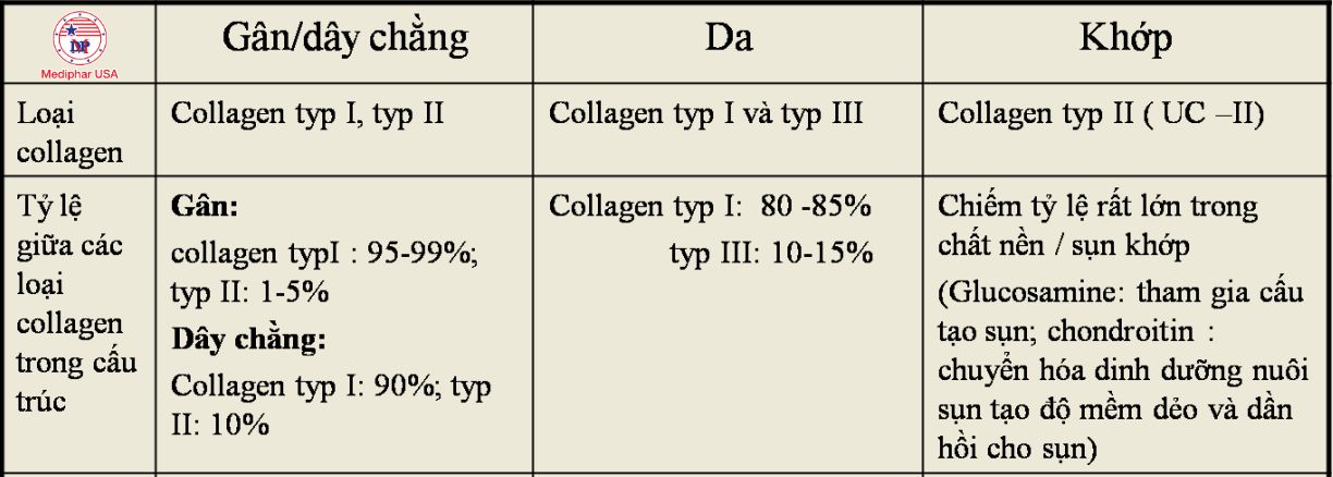 Sự khác biệt giữa collagen tuýp 1 và các loại collagen khác