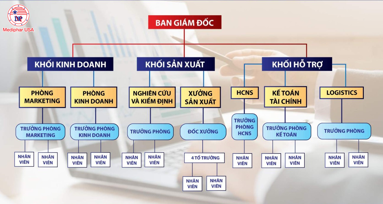 Sơ đồ tổ chức Công ty TNHH MEDIPHAR USA