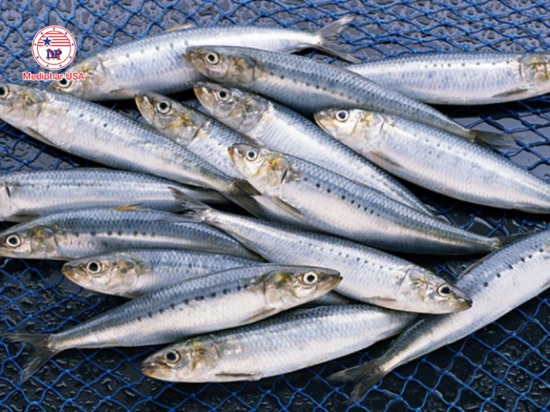 Cá mòi là loại cá nhỏ giàu canxi