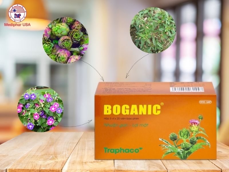 Thành phần dược liệu của thuốc bổ gan Boganic 