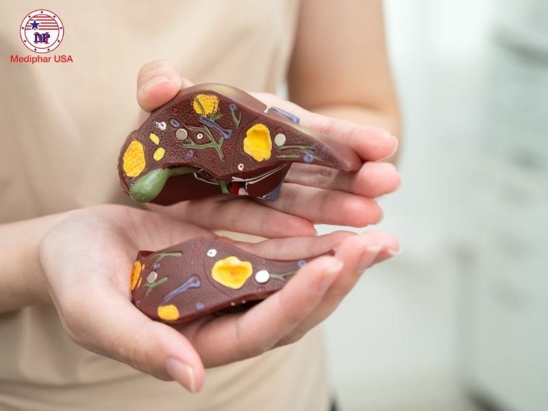 Thuốc bổ gan Boganic hỗ trợ cải thiện chức năng gan và đào thải độc tố