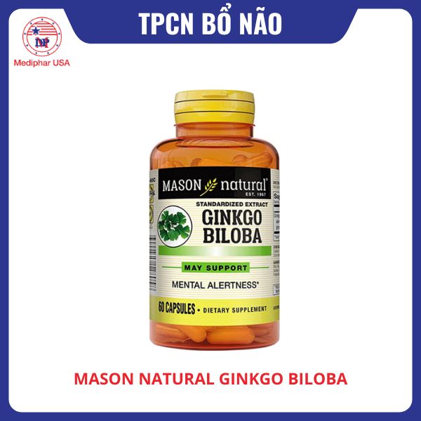 Mason Natural Ginkgo Biloba