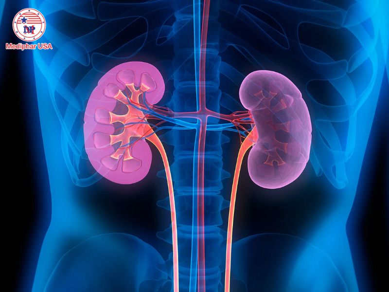 Người có bệnh lý gan – thận cần thận trọng khi dùng glucosamine.