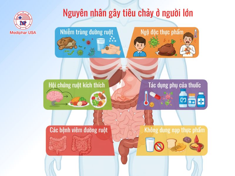 Nguyên nhân gây tiêu chảy ở người lớn