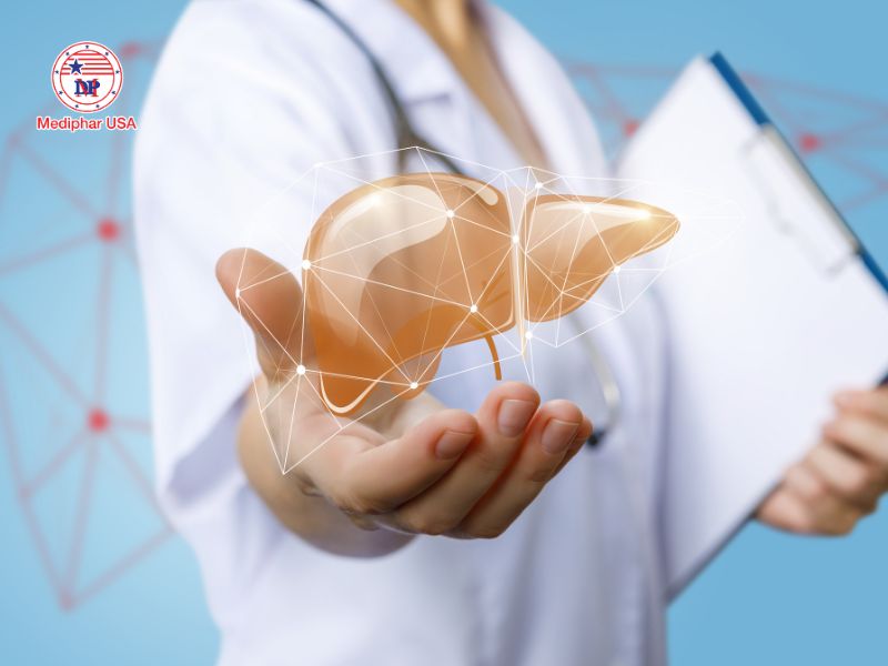 Cách dùng thuốc bổ gan an toàn và không ảnh hưởng thận