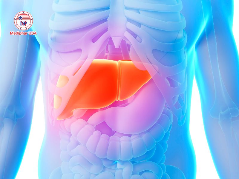 Uống thuốc bổ gan nhiều có tốt không?