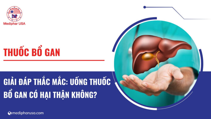 Giải đáp thắc mắc: Uống thuốc bổ gan có hại thận không?