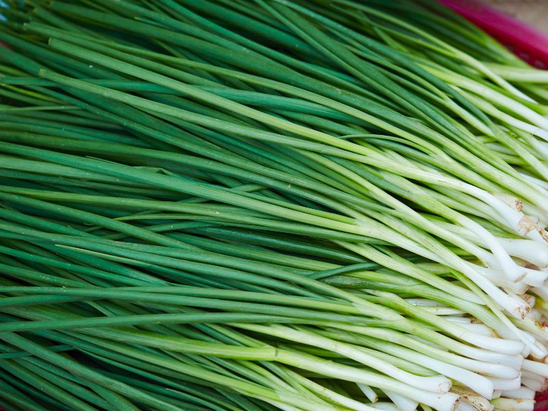 Cách chữa viêm họng mãn tính dân gian bằng lá hẹ