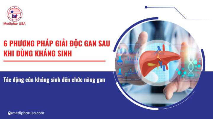6 Phương pháp giải độc gan sau khi dùng kháng sinh