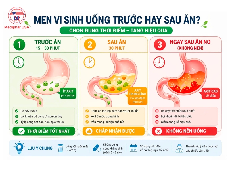 Thời điểm uống men vi sinh phù hợp 