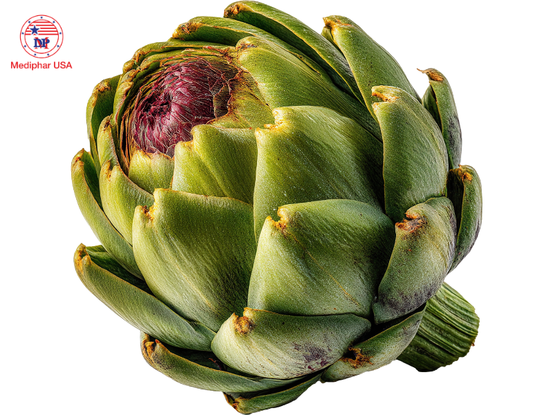 Uống lá gì để mát gan bổ thận​?