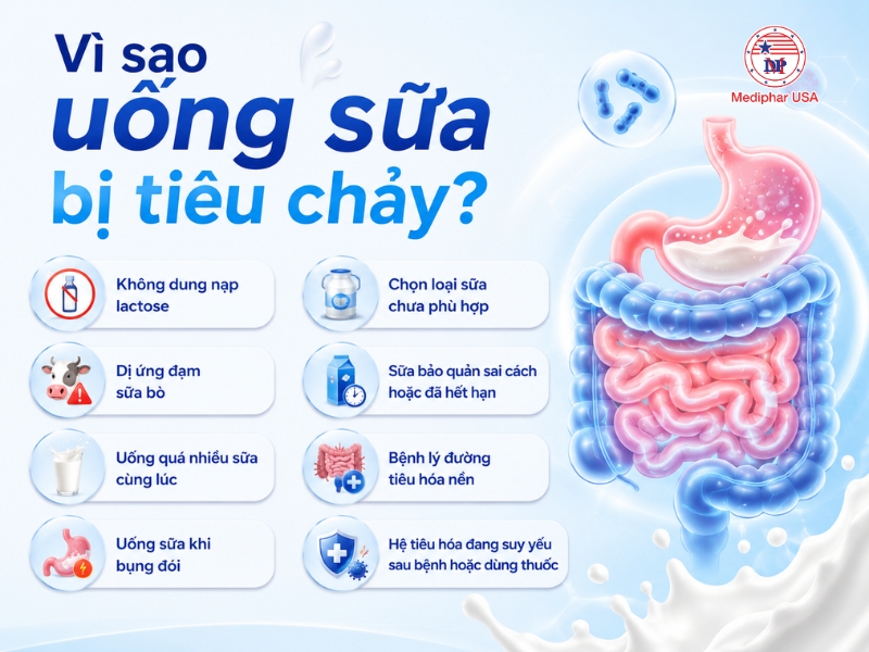 Cách khắc phục uống sữa bị tiêu chảy: Nguyên nhân và giải pháp hiệu quả Nguyên nhân uống sữa bị tiêu chảy