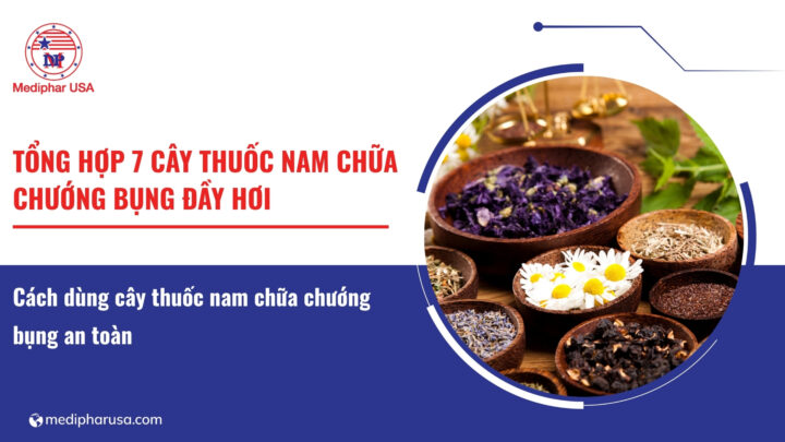Tổng hợp 7 cây thuốc nam chữa chướng bụng đầy hơi hiệu quả, an toàn Tổng hợp 7 cây thuốc nam chữa chướng bụng đầy hơi hiệu quả, an toàn