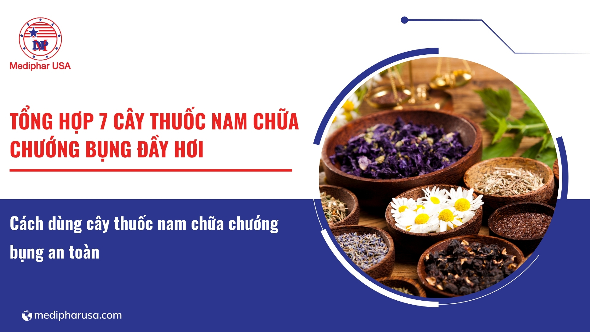 Tổng hợp 7 cây thuốc nam chữa chướng bụng đầy hơi hiệu quả, an toàn Tổng hợp 7 cây thuốc nam chữa chướng bụng đầy hơi hiệu quả, an toàn