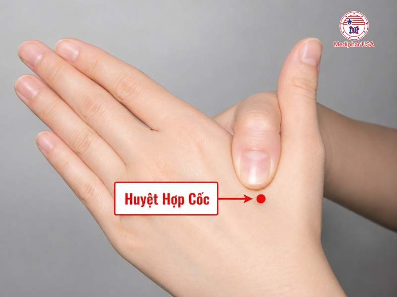 Huyệt Hợp Cốc (LI4)